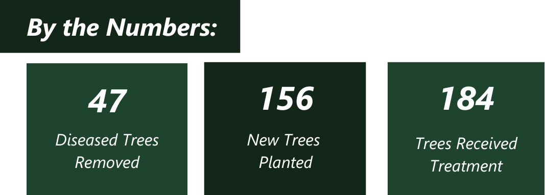 Trees by the numbers graphic: 47 diseased Trees removed, 156 New Trees Planted, 184 Trees Received Treatment