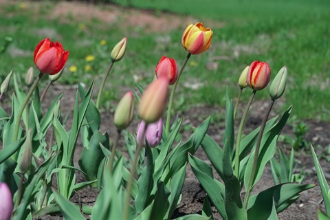 DSC03597.JPG