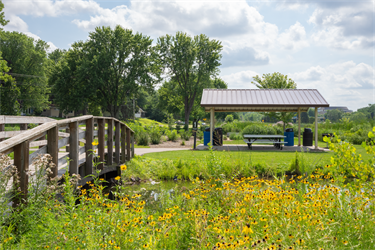 A picnic shelter next to a bridge surrounded by yellow flowers
