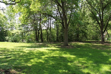 A small grassy field surrounded by trees