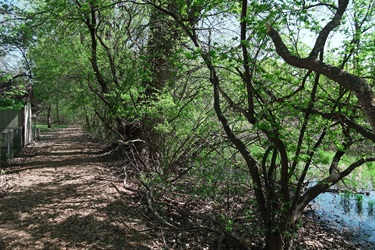 A gravel path alongside a lake