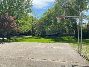 A basketball court in a park surrounded by trees