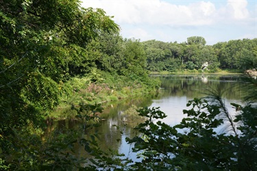 A lake surrounded by trees