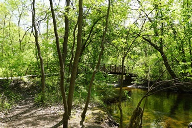 Bridge of Rice Creek at Locke Park