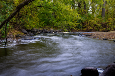 A small creek running through a wooded area