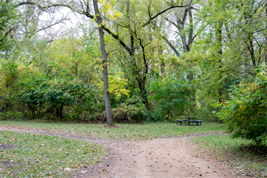 A gravel trail in a wooded area. 