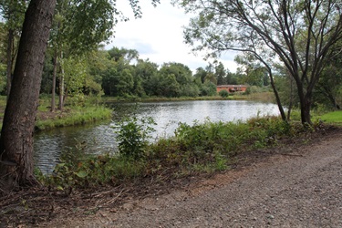 A gravel trail alongside a small lake