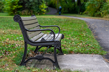A park bench on the side of a trail