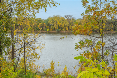 The Mississippi River appears from between trees