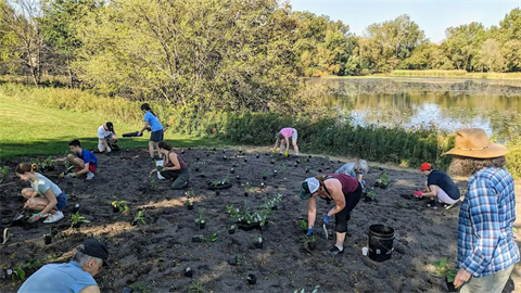 a group of people plug planting