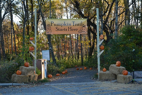 Trail-Starts-Here-Banner.jpg