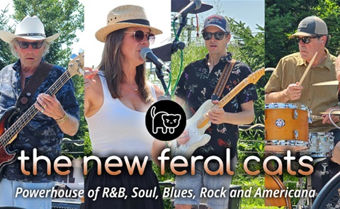 the New Feral Cats band image and logo
