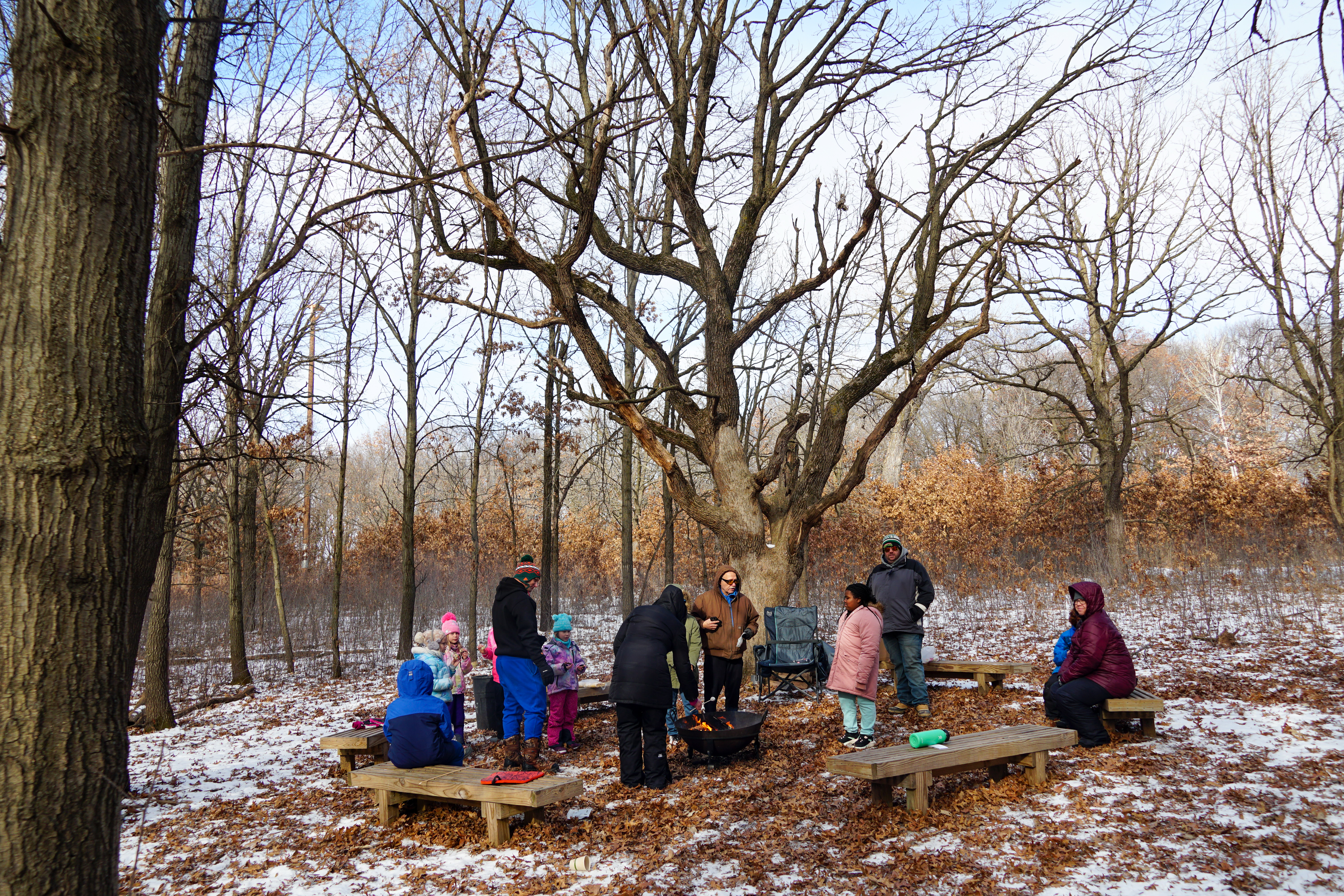Campfire In The Woods