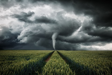 tornado in field