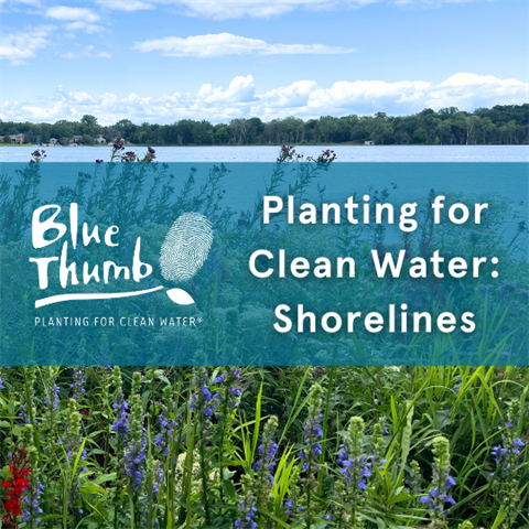 Shorelines-2026.png