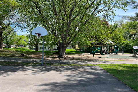 A basketball court shaded by tress with a playground behind it