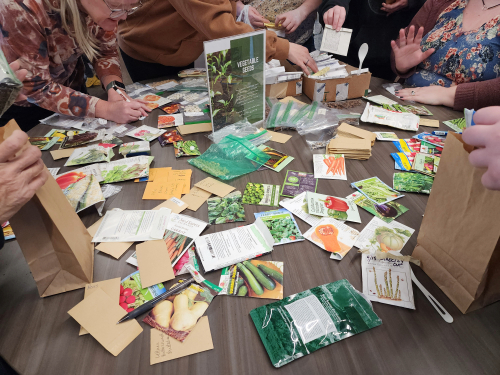 Table of Seed Packets on Display 