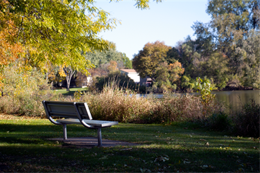 A park bench overlooking a lake