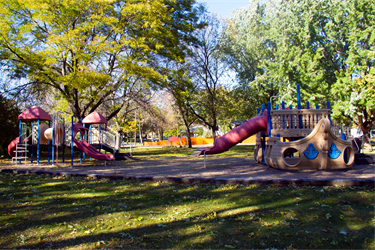 A playground shaded by trees
